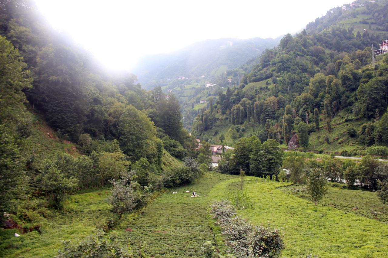 Tanura Bungalows Çamlıhemşin Exterior foto